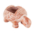 Terracotta flower pot, 'Busy Brown Turtle' - Busy Brown Ceramic Turtle Flower Pot from El Salvador (image 2b) thumbail