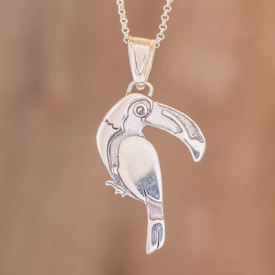 Sterling silver pendant necklace, Cloud Forest Toucan