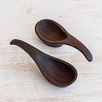 Wood tasting spoons, 'Delicious' (pair)