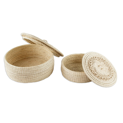 Natural fiber lidded baskets, 'Natural Life' (pair) - Multi-Purpose Natural Fiber Baskets (Pair)