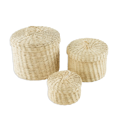 Handmade Natural Fiber Baskets (Set of 3)