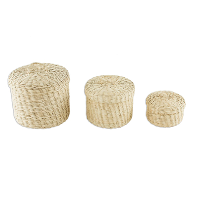 Small natural fiber lidded baskets, 'Nest' (set of 3) - Handmade Natural Fiber Baskets (Set of 3)