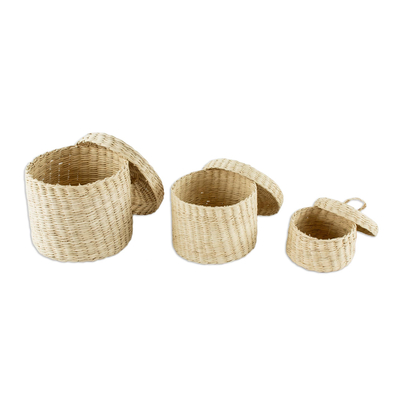 Small natural fiber lidded baskets, 'Nest' (set of 3) - Handmade Natural Fiber Baskets (Set of 3)
