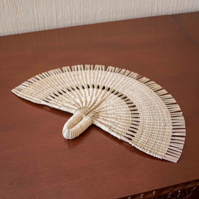 Natural fiber hand fan, 'Peacock Tail' - Hand Woven Natural Fiber Hand Fan