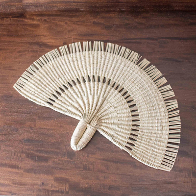 Natural fiber hand fan, 'Peacock Tail' - Hand Woven Natural Fiber Hand Fan