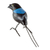 Ceramic sculpture, 'Long-tailed Manakin' - Colorful Hand Painted Bird Sculpture (image 2c) thumbail