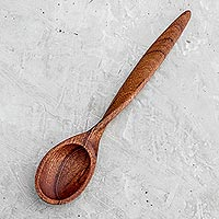 Featured review for Wood serving spoon, Familiar Flavors