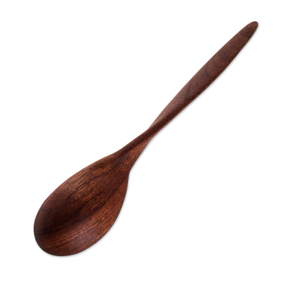 Wood serving spoon, 'Familiar Flavors' - Handmade Wood Serving Spoon