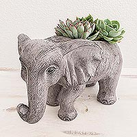 Ceramic planter, 'Rustic Elephant in Black' - Black Elephant Flower Pot