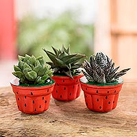 Cement plant pots, 'Sweet Strawberries' (set of 3) - Small Artisan Crafted Planters (Set of 3)