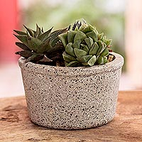 Cement planter, 'Rustic Modern' - Handmade Cement Flower Pot