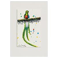 'Precious Quetzal' - Original Quetzal Watercolor Painting