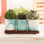 Cement mini flower pots with mahogany base, 'Abstract Waves' (set of 3) - Ocean-Inspired Flower Pots on Mahogany Base (Set of 3)