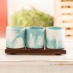 Cement mini flower pots with mahogany base, 'Abstract Waves' (set of 3) - Ocean-Inspired Flower Pots on Mahogany Base (Set of 3)