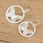 Sterling silver dangle earrings, 'Shimmering Flight' - Sterling Silver Encircled Butterfly Earrings from Costa Rica
