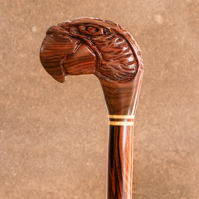 Wood walking stick, 'Parrot Head' - Handcrafted Bird Motif Walking Stick
