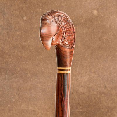 Wood walking stick, 'Parrot Head' - Handcrafted Bird Motif Walking Stick