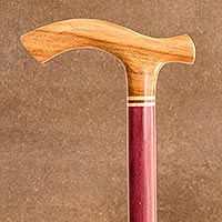 Wood walking stick, 'Voyager' - Handcrafted Walking Stick from Costa Rica