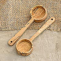 Wood scoops, 'Naturally' - Hand-Carved Wood Multi-purpose Scoops (Pair)
