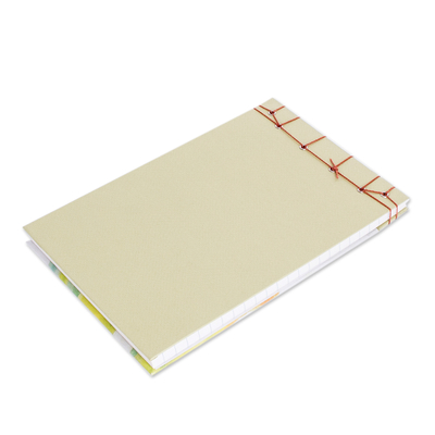 Paper journal, 'Tree Frog' - Handcrafted Lined Paper Journal
