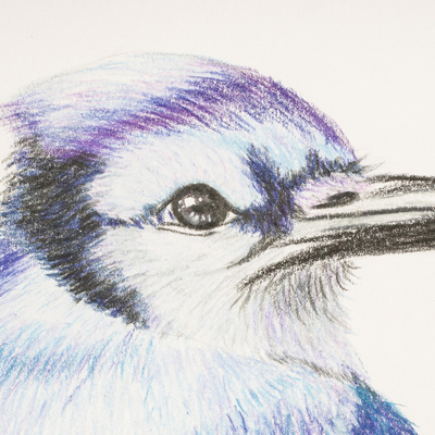 'Lovely Blue Jay' - Crayón y rotulador sobre papel con temática de pájaros de Guatemala
