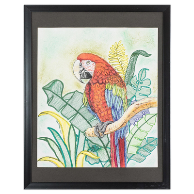 Macaw Themed Crayon on Paper Drawing from Guatemala