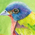 'Still Painted Bunting' - Öl auf Leinwand Gemälde eines bunten Vogels aus Guatemala