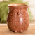 Dekorative Vase aus Keramik, 'Präkolumbische Eule'. - Keramische dekorative Vase einer Eule, handgefertigt in Nicaragua