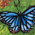 'Mariposas' - Pintura impresionista al óleo sin estirar de mariposas firmadas