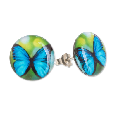 Resin button earrings, 'Morpheus' - Butterfly Resin Button Earrings with Stainless Steel Posts