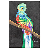 'Quetzal' - Signed Stretched Acrylic Impressionist Painting of Bird