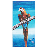 'Macaw'