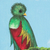 'Beautiful Quetzal' - Pintura al óleo impresionista del pájaro Quetzal en el bosque