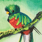 'Quetzal at the Waterfalls' - Signed Acrylic and Oil Painting of Quetzal and Waterfall