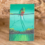 Wood magnet, 'Looking at Nature' - Pinewood Magnet of Quetzal Bird Crafted and Painted by Hand