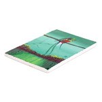 Wood magnet, 'Looking at Nature' - Pinewood Magnet of Quetzal Bird Crafted and Painted by Hand