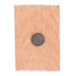 Wood magnet, 'Looking at Nature' - Pinewood Magnet of Quetzal Bird Crafted and Painted by Hand