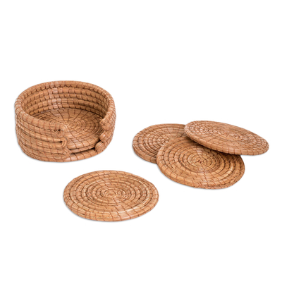 Natural fiber coasters, 'Refreshing Pine' (set of 6) - Set of 6 Handcrafted Natural Fiber Coasters from Guatemala