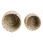 Natural fiber baskets, 'Practical Forest' (set of 2) - Set of 2 Natural Fiber Baskets with Colorful Acrylic Threads