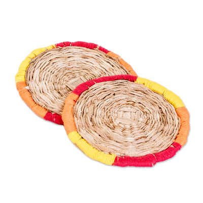 Natural fiber coasters, 'Joyous Salvador' (pair) - Handcrafted Round Warm-Toned Natural Fiber Coasters (Pair)