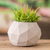 Cement flower pot, 'Geometric Spaces' - Handcrafted Geometric Cement Flower Pot from El Salvador