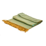 Cotton shawl, 'Lagoon Shades' - Handloomed Green and Turquoise Cotton Shawl with Fringes