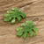Recycled CD dangle earrings, 'Dark Forest Grace' - Leaf-Shaped Dark Green Recycled CD Dangle Earrings