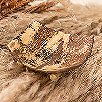 Seifenschale aus Kokosnussschale, „Natural Bath“ – Handgefertigte Seifenschale aus Kokosnussschale mit Kiefernholzsockel
