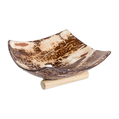 Coconut shell soap dish, 'Natural Bath' - Handcrafted Coconut Shell Soap Dish with Pinewood Base