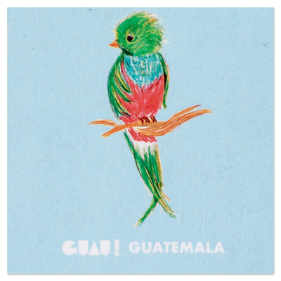 Imán de papel - Imán de papel tradicional con temática de pájaro Quetzal de Guatemala