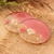 Resin coasters, 'Dulcet Blooming' (pair) - Pair of Handcrafted Floral Round Pink Resin Coasters