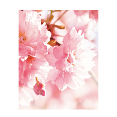 Pure Nature Gift Tags - Unicef Gift Tags