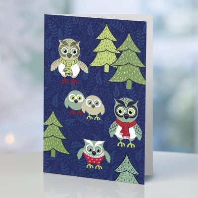 UNICEF holiday greeting cards, 'The Owl Family' (set of 10) - UNICEF Owl Motif Holiday Cards (Set of 10)
