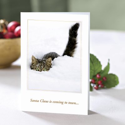 UNICEF holiday greeting cards, 'Santa Claus is Coming...' (set of 10) - UNICEF Cat Themed Holiday Cards (Set of 10)